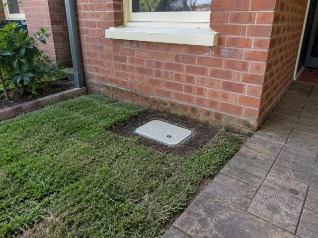 Capped sewer inspection opening in a small lawn beside a brick house and paved path in Marrickville